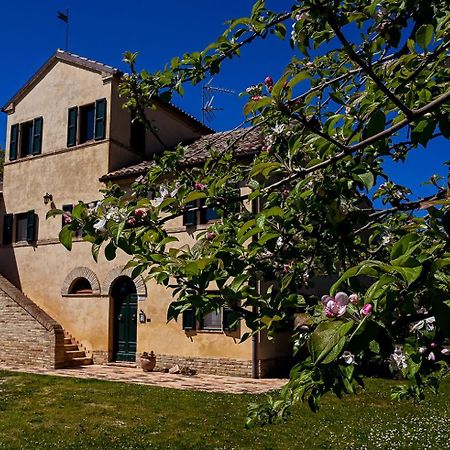 I Ciliegi Bed & Breakfast Osimo Bagian luar foto