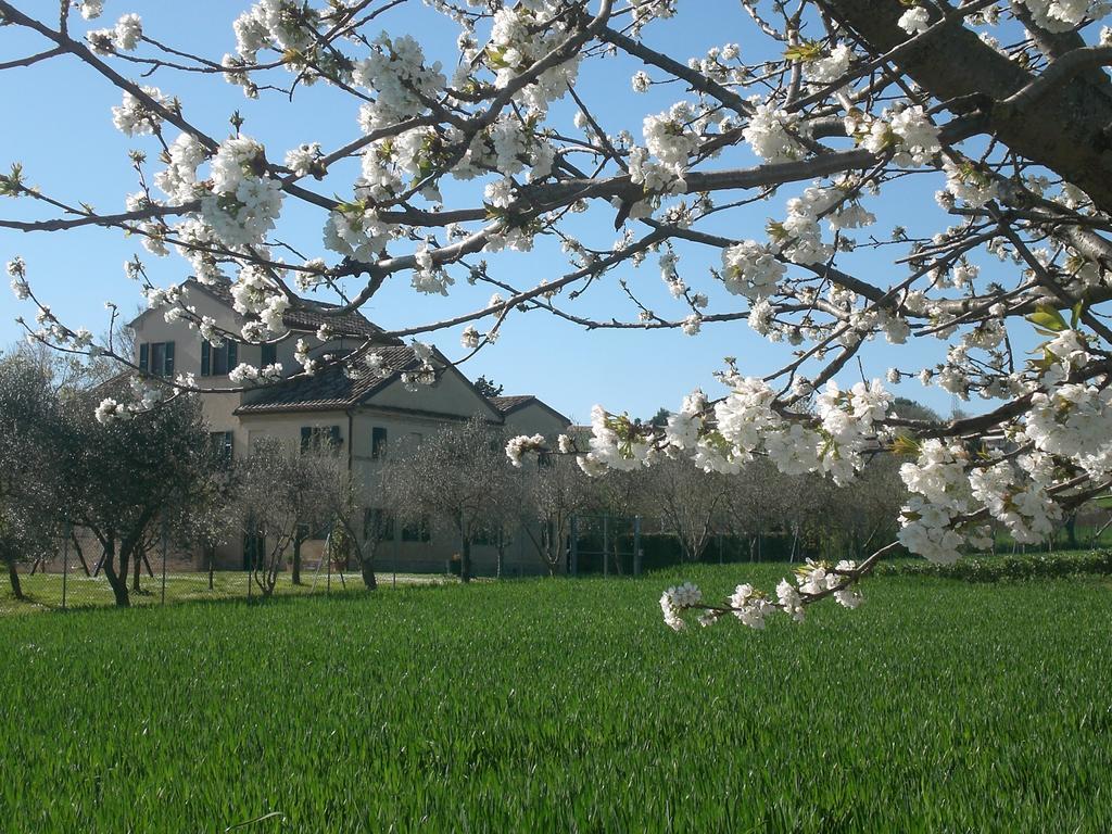 I Ciliegi Bed & Breakfast Osimo Bagian luar foto