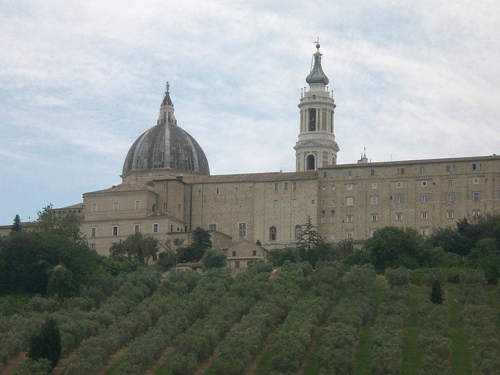 I Ciliegi Bed & Breakfast Osimo Bagian luar foto