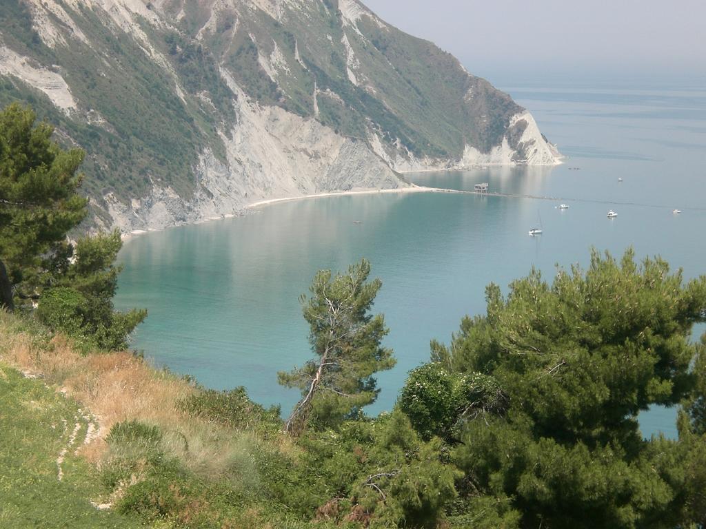 I Ciliegi Bed & Breakfast Osimo Bagian luar foto