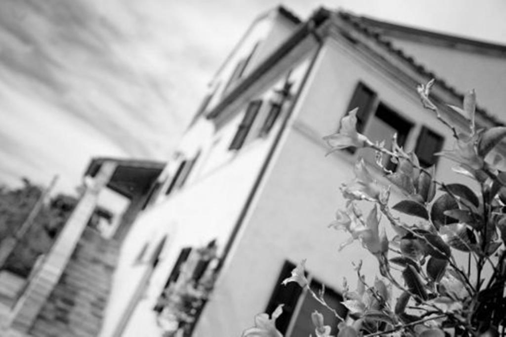 I Ciliegi Bed & Breakfast Osimo Bagian luar foto