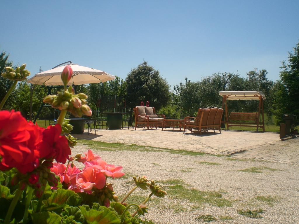 I Ciliegi Bed & Breakfast Osimo Bagian luar foto