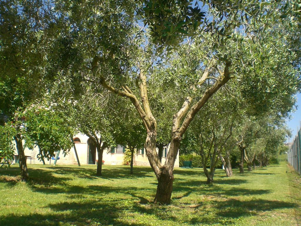 I Ciliegi Bed & Breakfast Osimo Bagian luar foto
