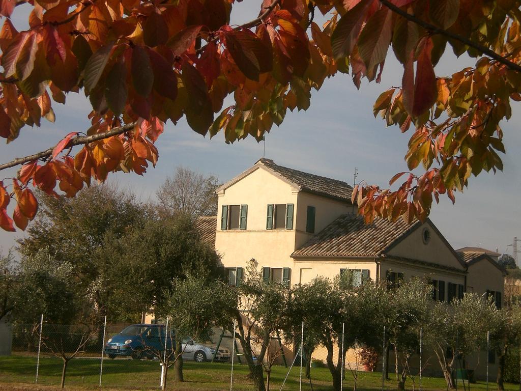 I Ciliegi Bed & Breakfast Osimo Bagian luar foto