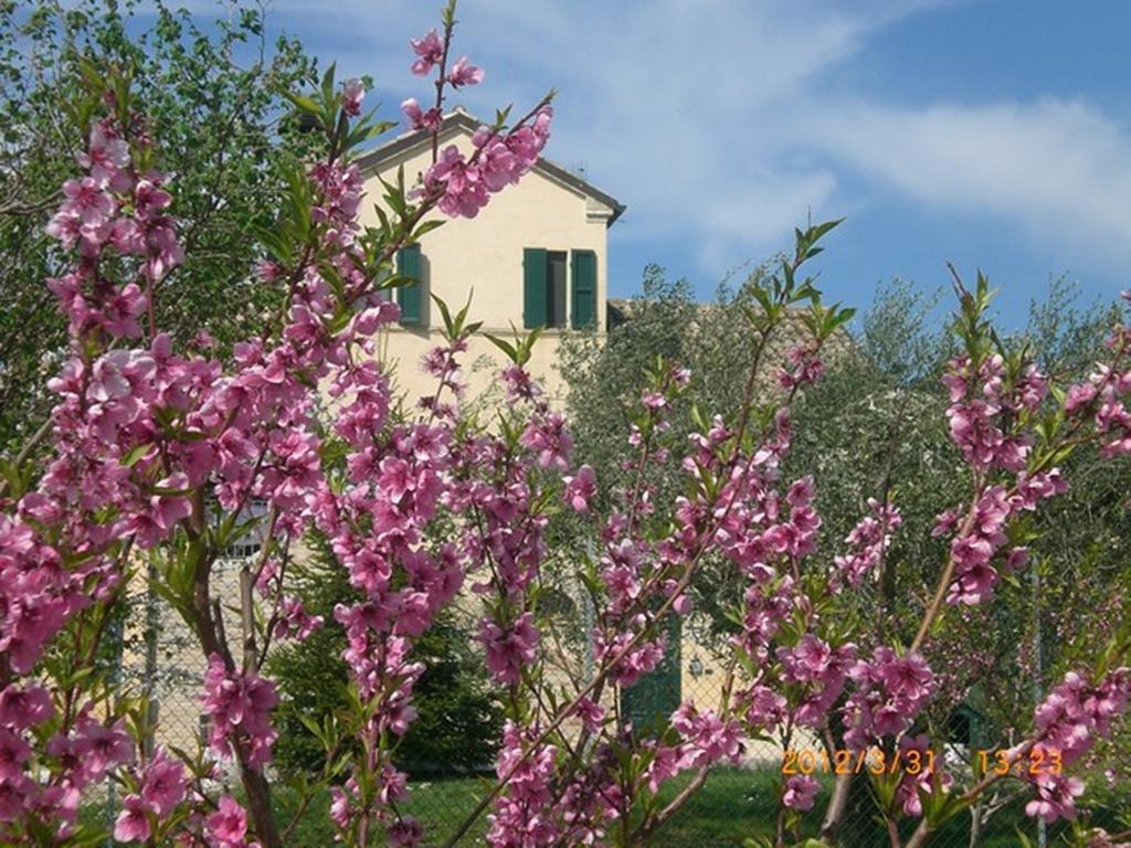 I Ciliegi Bed & Breakfast Osimo Bagian luar foto
