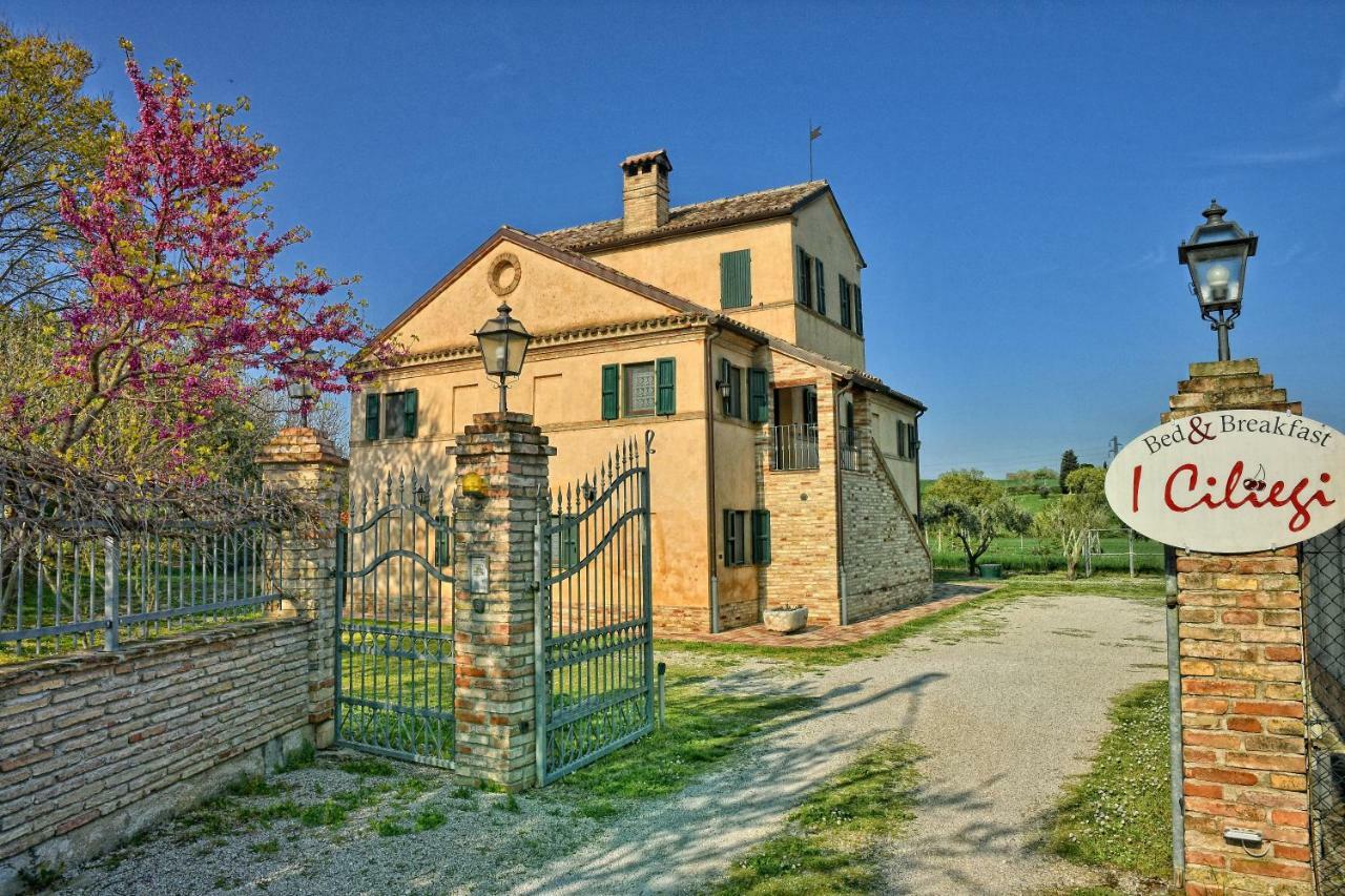 I Ciliegi Bed & Breakfast Osimo Bagian luar foto