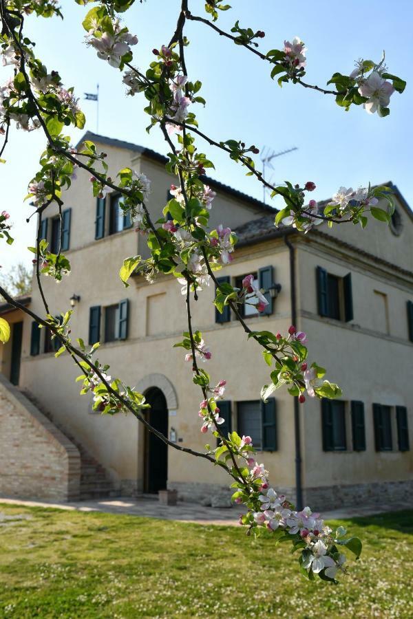 I Ciliegi Bed & Breakfast Osimo Bagian luar foto