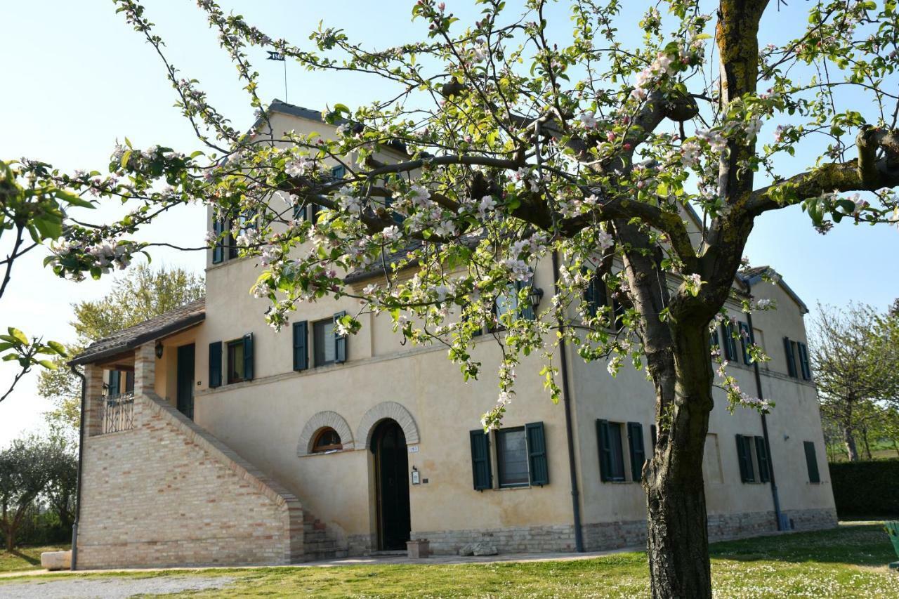 I Ciliegi Bed & Breakfast Osimo Bagian luar foto